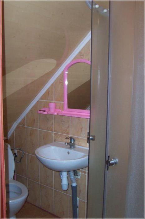 Hôtel Boykivskiy Dvir à Yasenitsa Zamkova Chambre photo